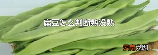 扁豆怎么判断熟没熟