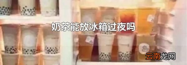 奶茶能放冰箱过夜吗