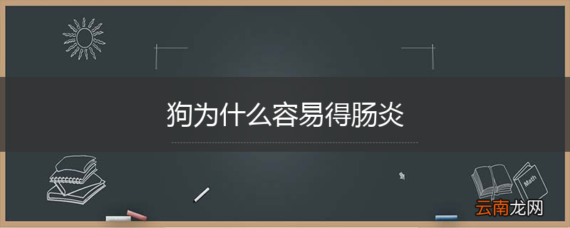 狗为什么容易得肠炎