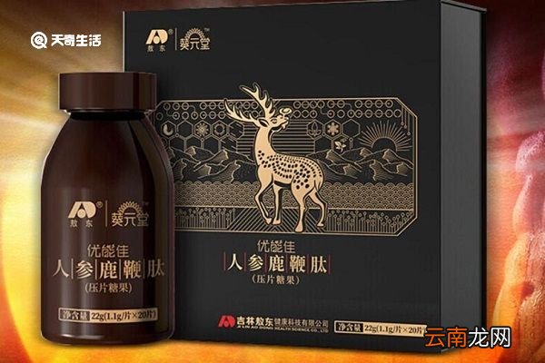 鹿鞭肽的功效与作用 鹿鞭肽的功效与作用有哪些