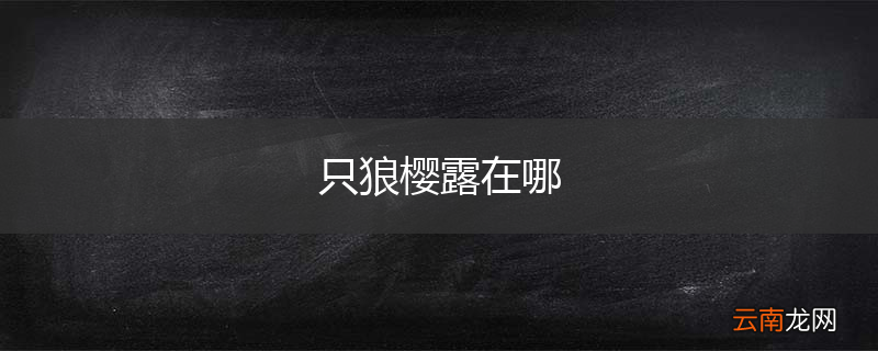 只狼樱露在哪