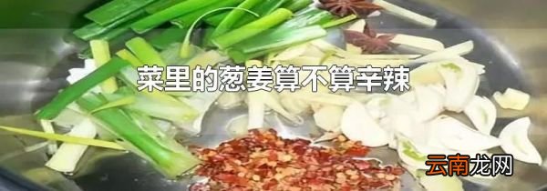 菜里的葱姜算不算辛辣