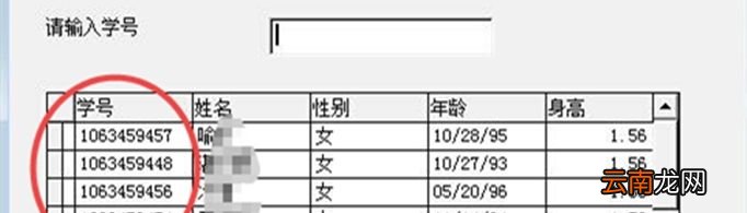 学号是什么意思？