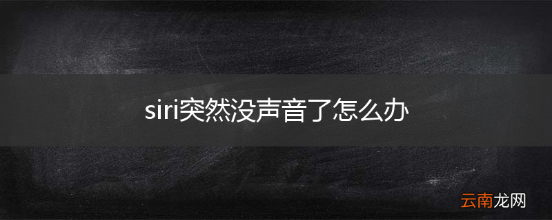 siri突然没声音了怎么办