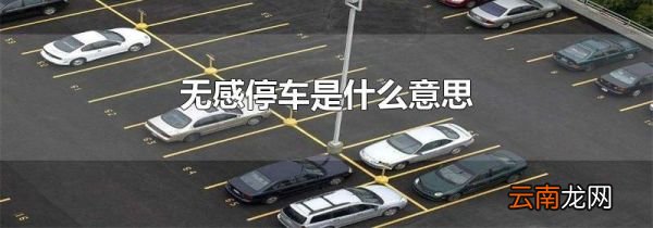 无感停车是什么意思