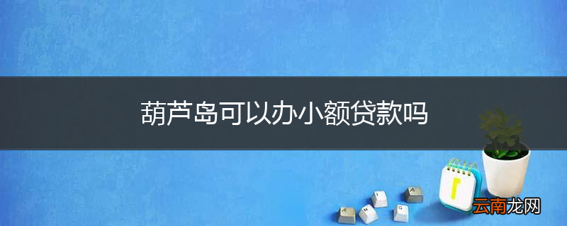 葫芦岛可以办小额贷款吗