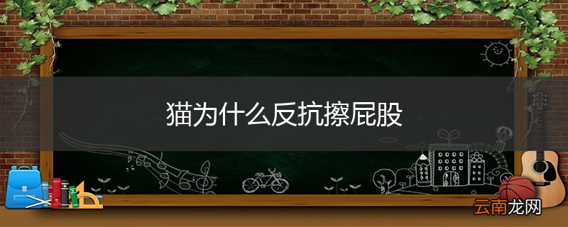 猫为什么反抗擦屁股