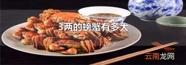 3两的螃蟹有多大
