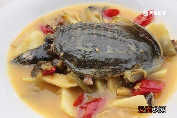 鳖的功效与作用 鳖的功效