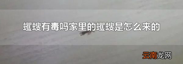 蠼螋有毒吗家里的蠼螋是怎么来的