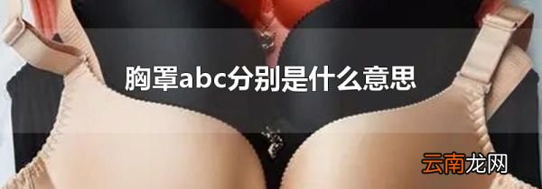 胸罩abc分别是什么意思