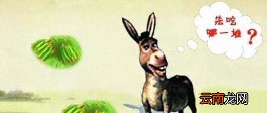 “布里丹毛驴效应”是什么意思？