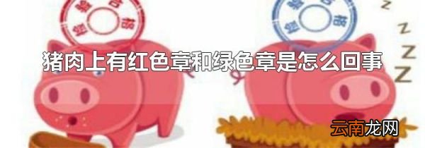 猪肉上有红色章和绿色章是怎么回事