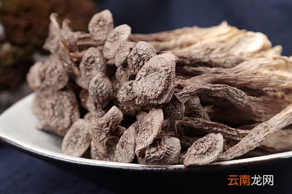 鹿茸菇的功效与作用 鹿茸菇的好处
