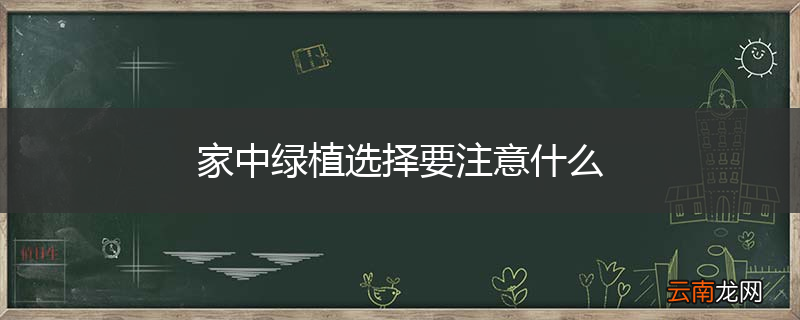 家中绿植选择要注意什么
