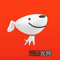 京东中查看魔镜等级具体操作步骤