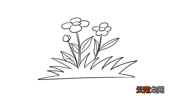 花草简笔画教程花草简笔画怎么画