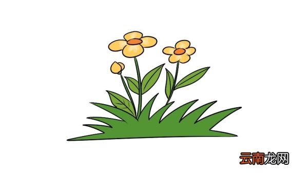 花草简笔画教程花草简笔画怎么画