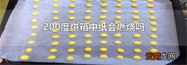 200度烘箱中纸会燃烧吗