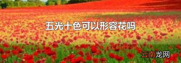 五光十色可以形容花吗