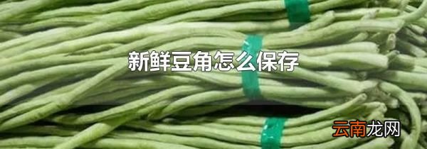新鲜豆角怎么保存