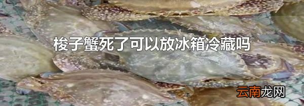梭子蟹死了可以放冰箱冷藏吗
