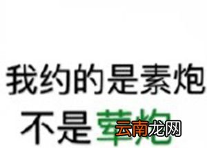 素炮是什么梗？