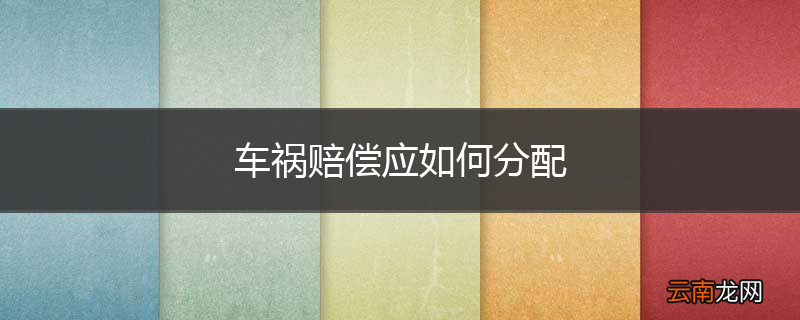 车祸赔偿应如何分配