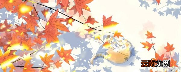 山行这首诗描绘了什么的美景 山行描写怎样的深秋景色