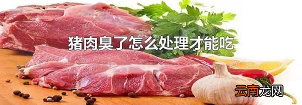 猪肉臭了怎么处理才能吃