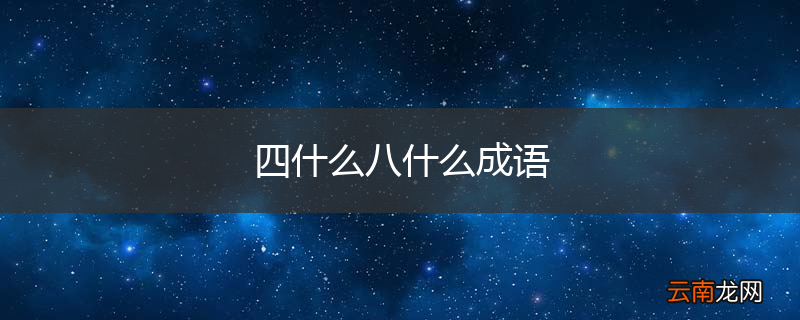 四什么八什么成语