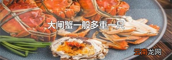 大闸蟹一般多重一只
