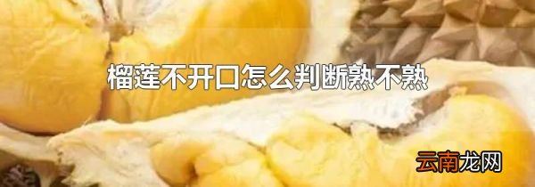 榴莲不开口怎么判断熟不熟