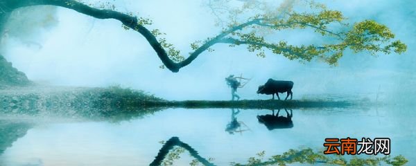 自在飞花轻似梦无边丝雨细如愁的修辞手法 自在飞花轻似梦无边丝雨细如愁的修辞手法是什么