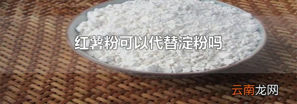 红薯粉可以代替淀粉吗