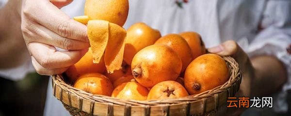 枇杷可以泡酒喝吗 枇杷泡酒要去核吗