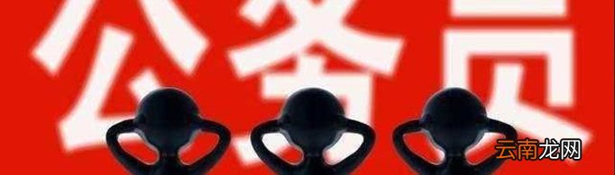 申论是什么？