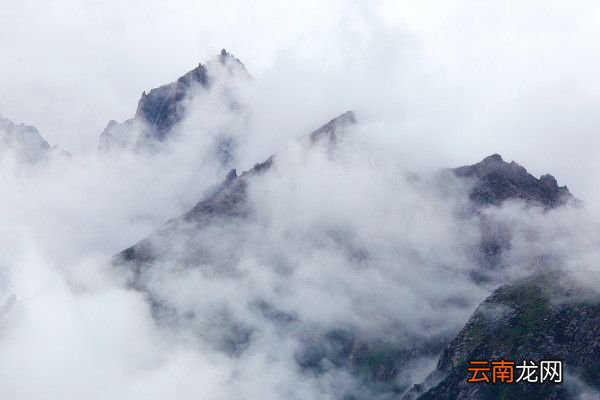 “不畏浮云遮望眼”出自哪位诗人?苏轼辛弃疾王安石杜牧王安石谥号