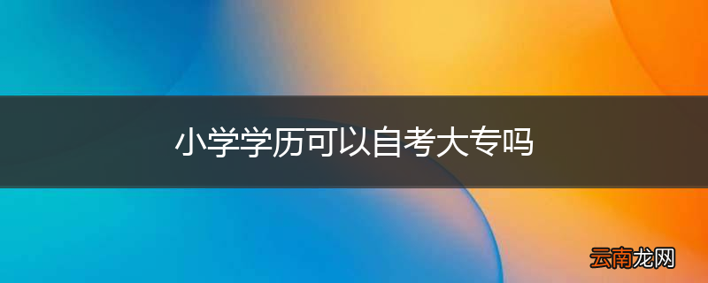 小学学历可以自考大专吗