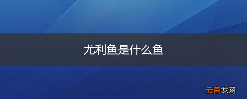 尤利鱼是什么鱼