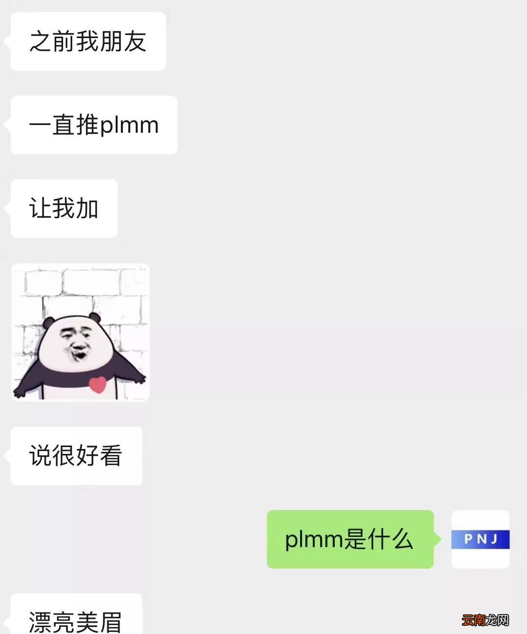 plmm是什么意思？
