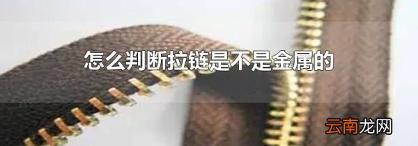 怎么判断拉链是不是金属的