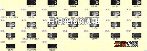 月相变化的周期
