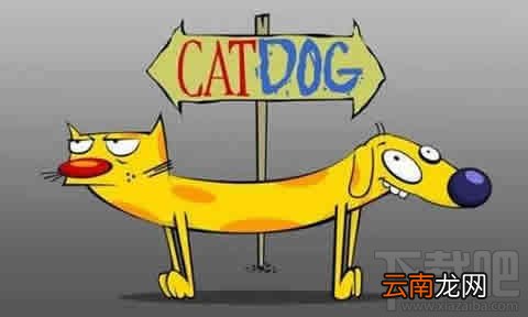 天猫超市和京东超市哪个好 京东超市和天猫超市全对比