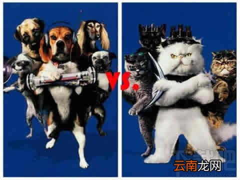 天猫超市和京东超市哪个好 京东超市和天猫超市全对比