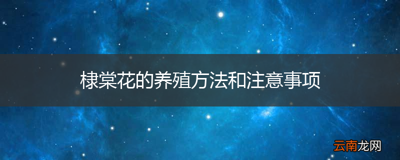 棣棠花的养殖方法和注意事项