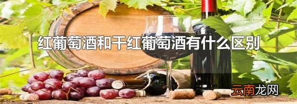 红葡萄酒和干红葡萄酒有什么区别