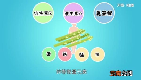芦笋为什么是苦的 芦笋苦是因为什么