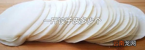 一斤饺子皮多少个