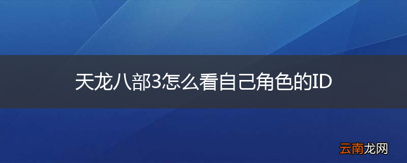 天龙八部3怎么看自己角色的ID